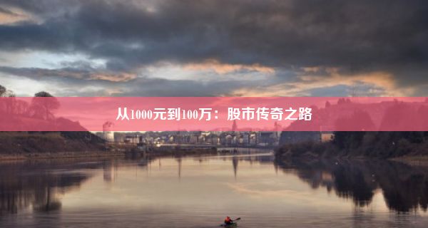 从1000元到100万：股市传奇之路