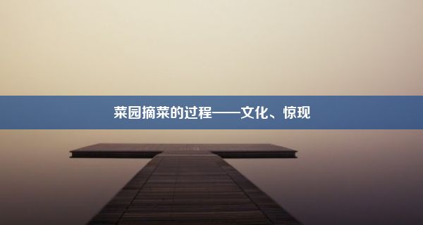 菜园摘菜的过程——文化、惊现