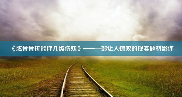 《肱骨骨折能评几级伤残》——一部让人惊叹的现实题材影评