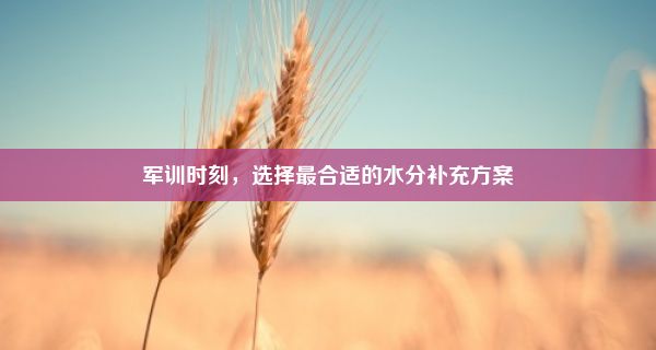 军训时刻，选择最合适的水分补充方案