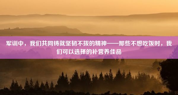 军训中，我们共同铸就坚韧不拔的精神——那些不想吃饭时，我们可以选择的补营养佳品