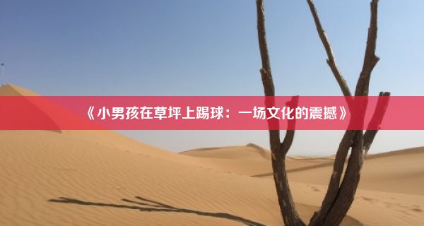 《小男孩在草坪上踢球：一场文化的震撼》