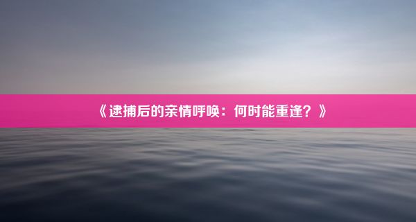 《逮捕后的亲情呼唤：何时能重逢？》