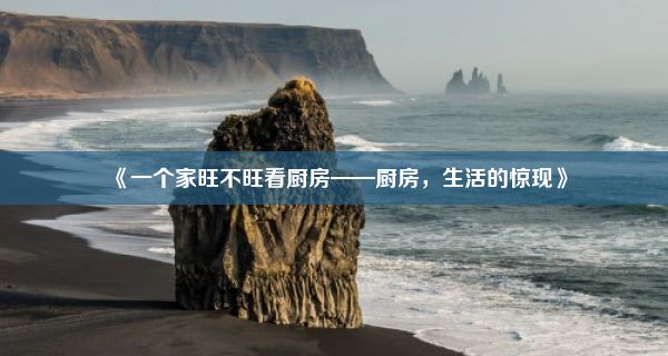 《一个家旺不旺看厨房——厨房，生活的惊现》