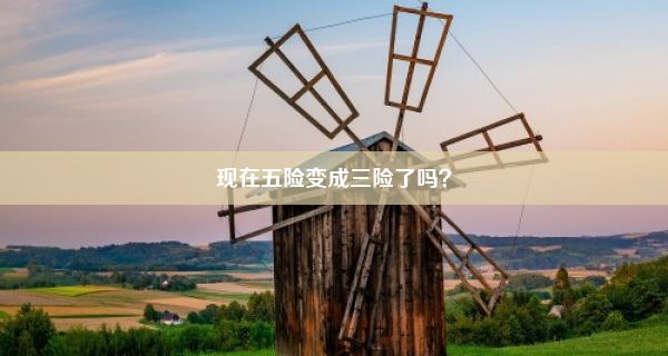 现在五险变成三险了吗？