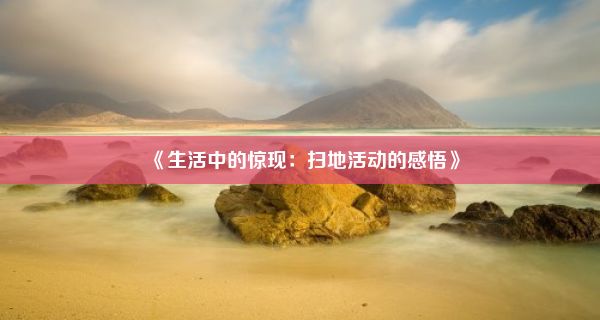 《生活中的惊现：扫地活动的感悟》