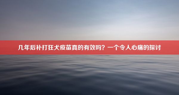 几年后补打狂犬疫苗真的有效吗？一个令人心痛的探讨