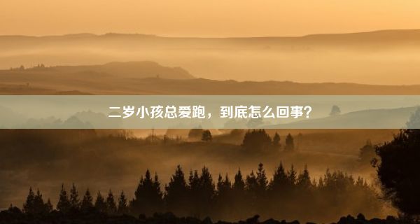 二岁小孩总爱跑，到底怎么回事？