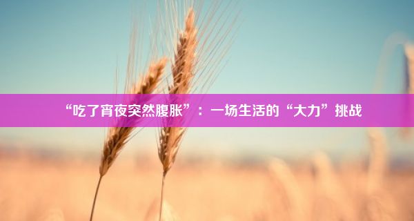 “吃了宵夜突然腹胀”：一场生活的“大力”挑战