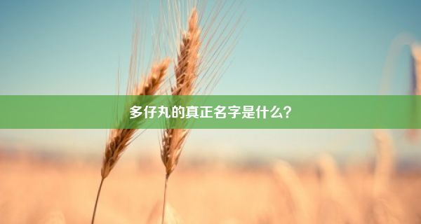 多仔丸的真正名字是什么？