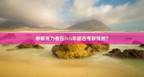 单眼视力者在2023年能否考取驾照？