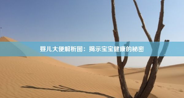 婴儿大便解析图：揭示宝宝健康的秘密