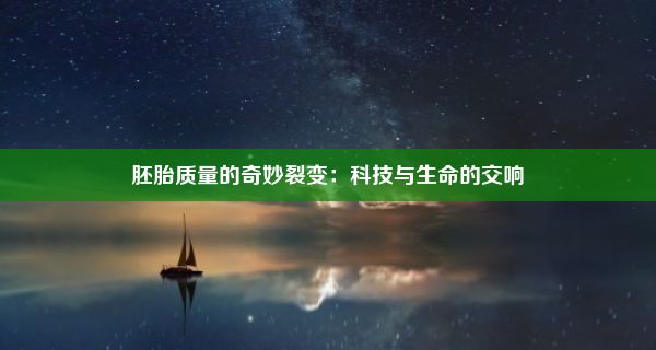 胚胎质量的奇妙裂变：科技与生命的交响