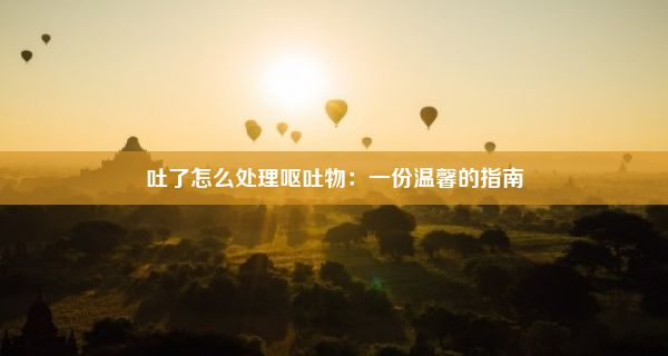 吐了怎么处理呕吐物：一份温馨的指南