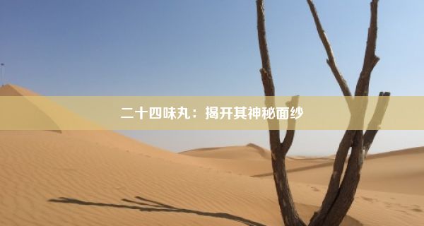 二十四味丸：揭开其神秘面纱