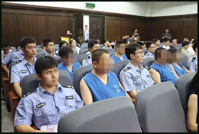 南京刑事拘留律师：正义的守护者