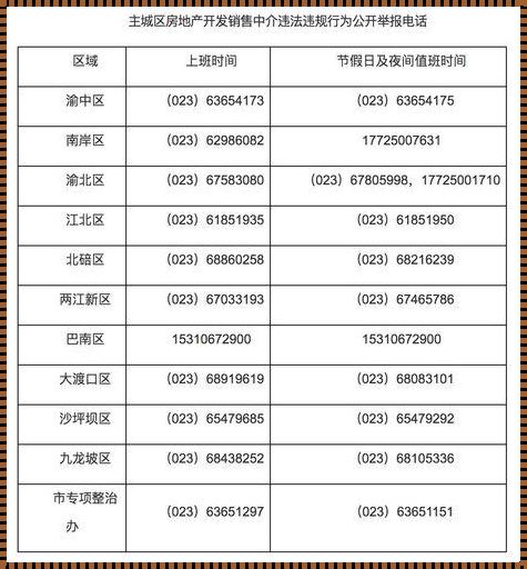 重庆房产管理局官网查询系统：平衡艺术与实践