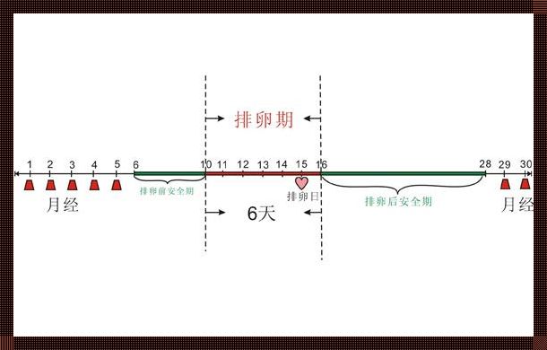 三天危险期：一个深入解析