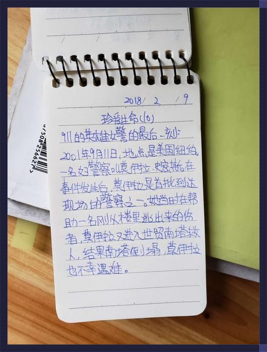 小学生摘抄30字左右：书法之美