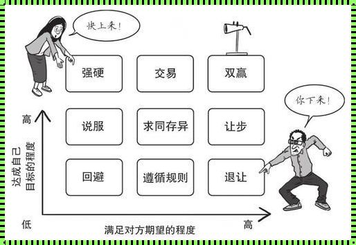 应对方法及例子：揭秘成功的策略