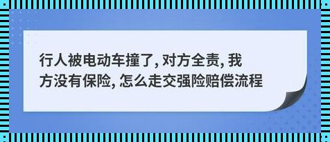 撞到人走保险一切就不用管了吗