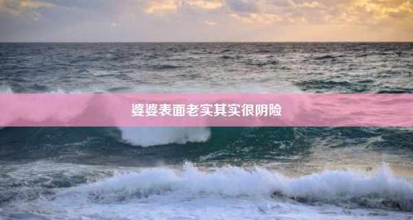 婆婆表面老实其实很阴险