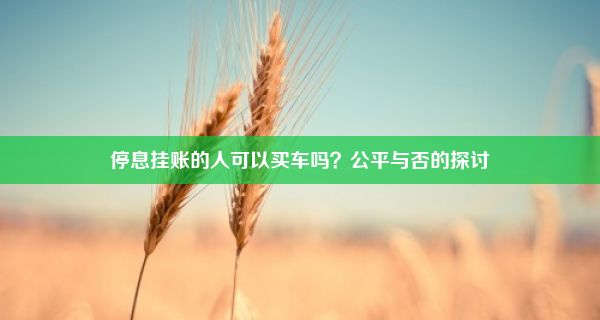 停息挂账的人可以买车吗？公平与否的探讨