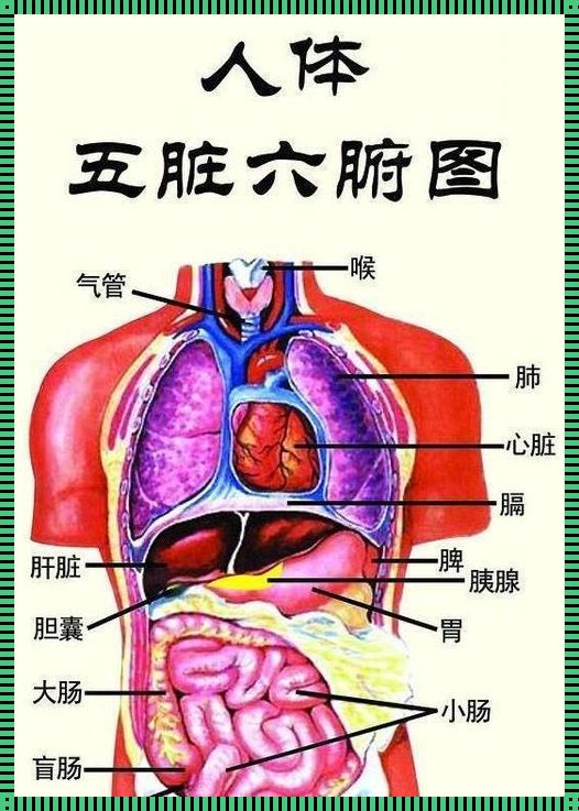 六月飞霜猜正确一肖：探寻未知的世界