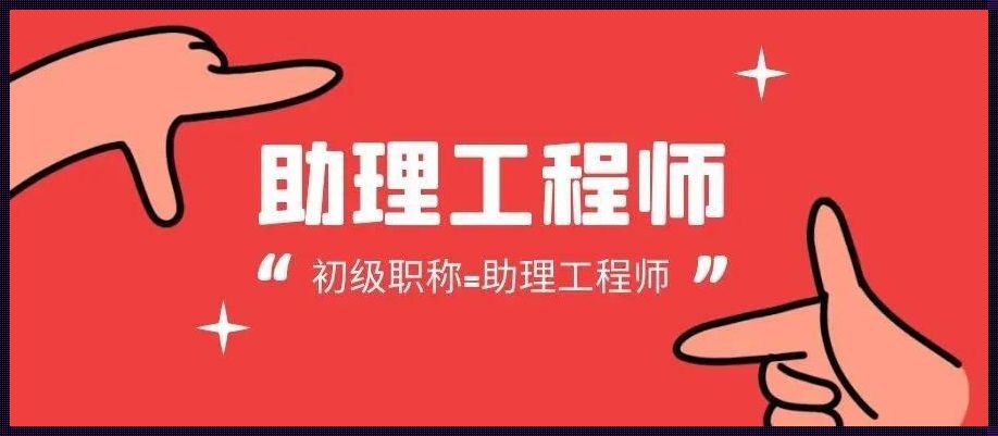 研究生申报助理工程师：开启职业之路的新篇章