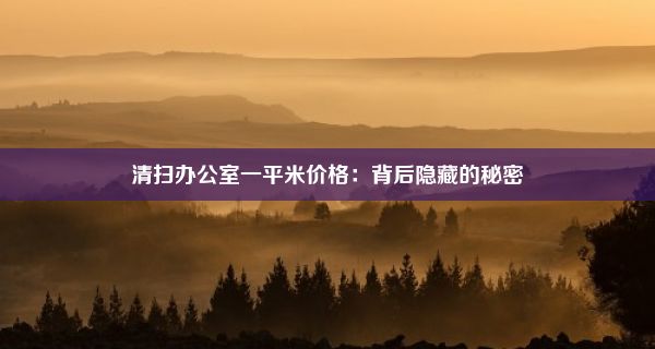 清扫办公室一平米价格：背后隐藏的秘密