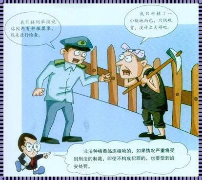 违法行为构成犯罪：深入剖析与反思