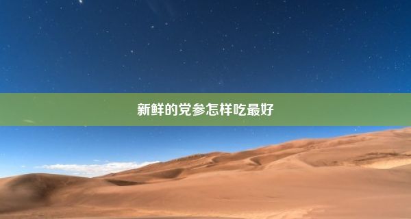 新鲜的党参怎样吃最好