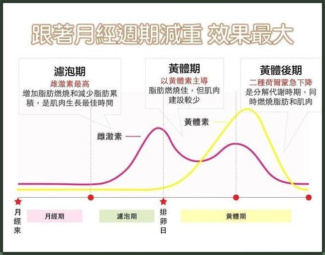 黄体期就是快来月经了吗？揭秘女性生理周期的奥秘