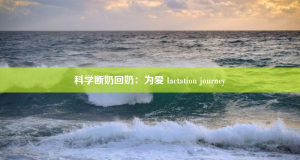 科学断奶回奶：为爱 lactation journey