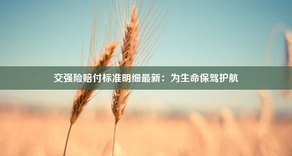 交强险赔付标准明细最新：为生命保驾护航