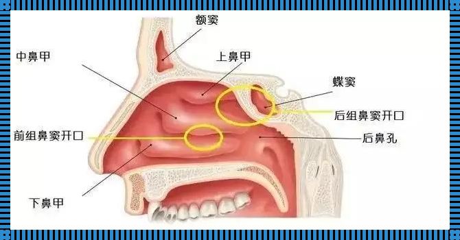 为啥早起周身不适恶心：震惊的真相