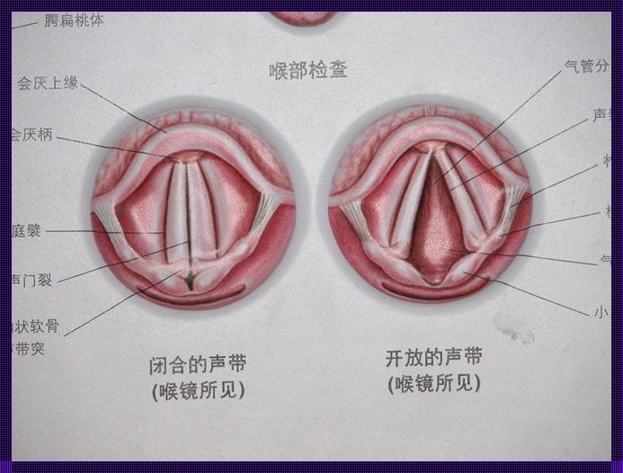 偶尔一次哮鸣音正常吗？