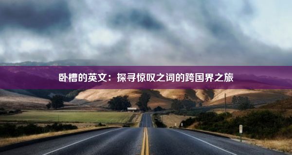 卧槽的英文：探寻惊叹之词的跨国界之旅