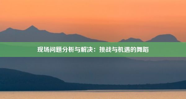 现场问题分析与解决：挑战与机遇的舞蹈