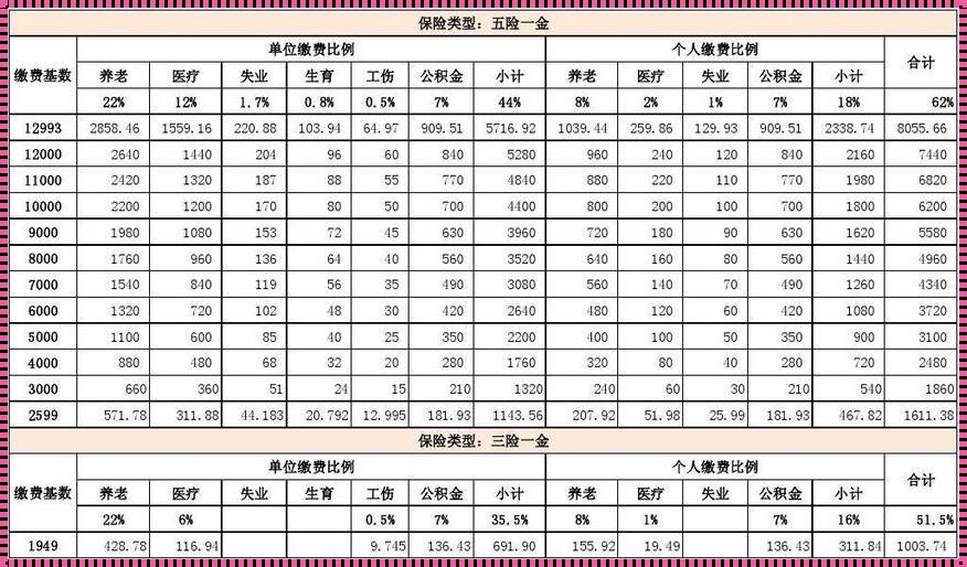 上海社保缴纳费用：深入解析与感悟