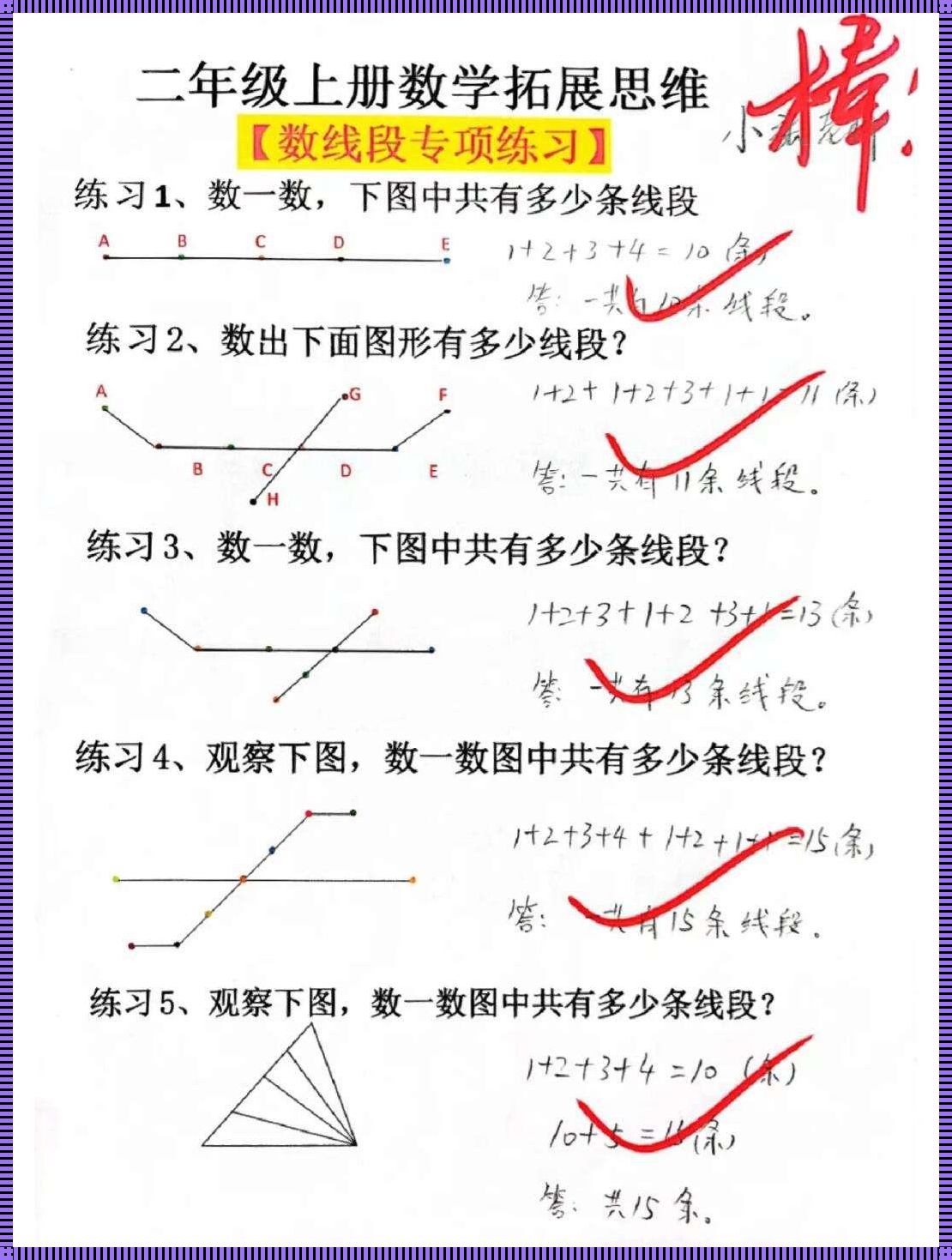 二年级上册数线段：探索与规划