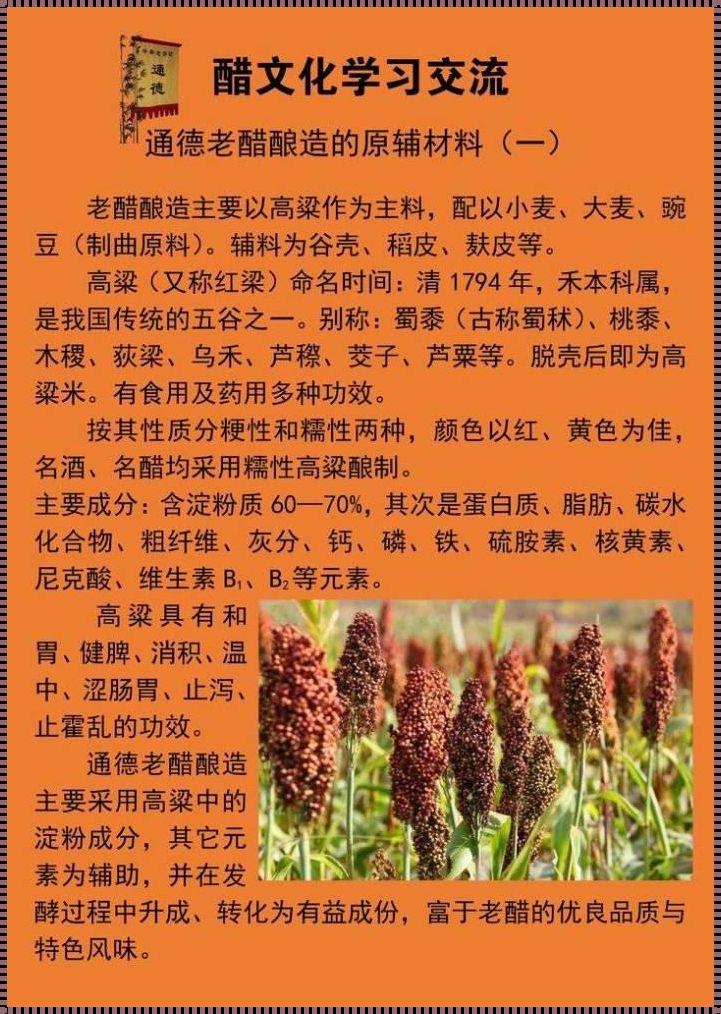 高粱米的功效与作用：意想不到的健康之选