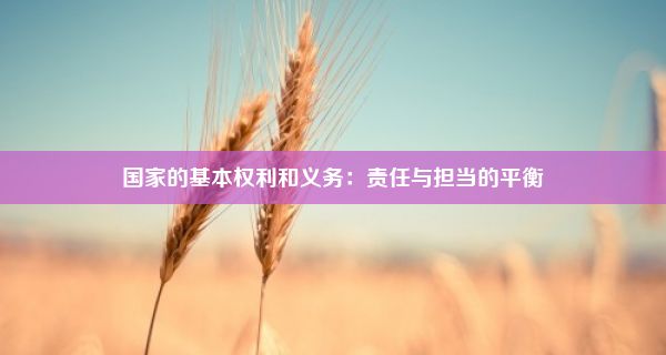 国家的基本权利和义务：责任与担当的平衡