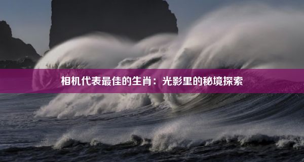 相机代表最佳的生肖：光影里的秘境探索