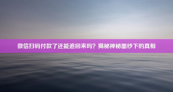 微信扫码付款了还能追回来吗？揭秘神秘面纱下的真相