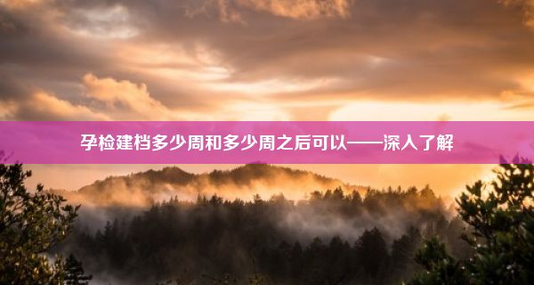 孕检建档多少周和多少周之后可以——深入了解