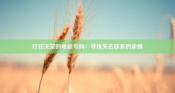 打往天堂的电话号码：寻找失去联系的亲情