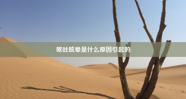 呕吐眩晕是什么原因引起的