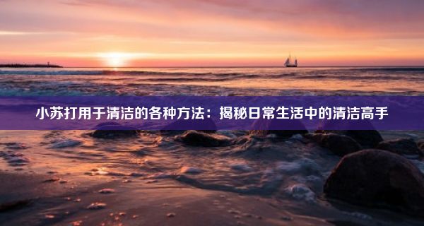 小苏打用于清洁的各种方法：揭秘日常生活中的清洁高手