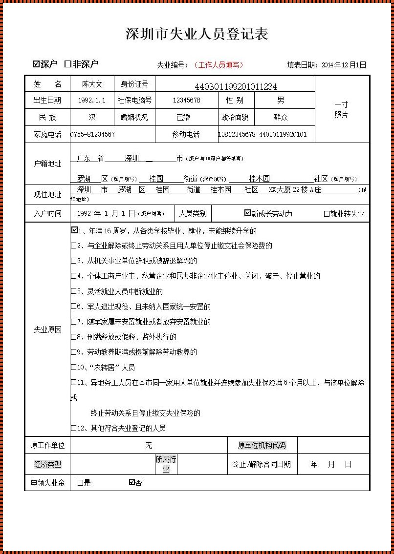 失业登记怎么填才能审核成功：掌握关键要点，顺利开启新征程